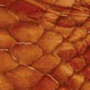 orange reptile print leather